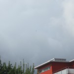 06.05.12 004 06.05.12 004