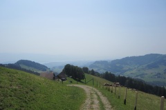 Bergrestaurant, im Hintergrund Zürichsee