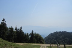 Blick Richtung Linthebene