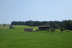 saftig-grüne Wiesen