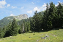 Flims-009