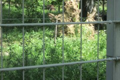 IMG_1391