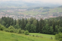 Aussicht über Wiesen und Wald
