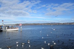 Greifensee-002