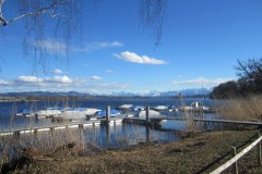 Greifensee-006