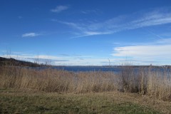 Greifensee-010