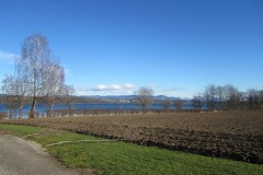 Greifensee-011