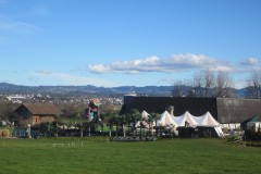 Greifensee-016