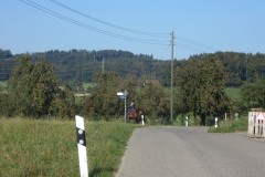 IMG_1248