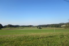 IMG_1249