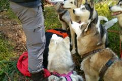 IMG-20160506-WA0001