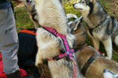 IMG-20160506-WA0002