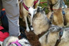 IMG-20160506-WA0003