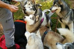 IMG-20160506-WA0005