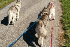 IMG-20160506-WA0012