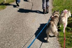 IMG-20160506-WA0017