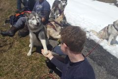 IMG-20160506-WA0022
