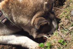 IMG-20160506-WA0050