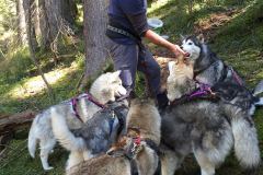 IMG-20160506-WA0061