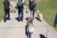 IMG-20160506-WA0062