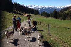 IMG-20160508-WA0001