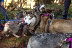 IMG-20160508-WA0002