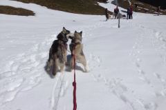 IMG-20160508-WA0005