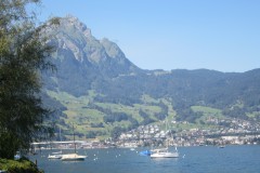 IMG_1228
