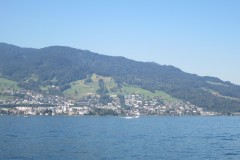 IMG_1229