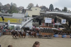 und in der Arena