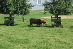 AusflugPfaeffikon-002