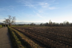 Felder beim östlichen Uferweg