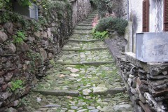IMG_1765