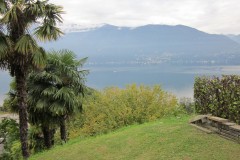 IMG_1767