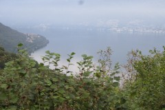IMG_1773