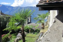 IMG_17761