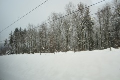 Schneelandschaft